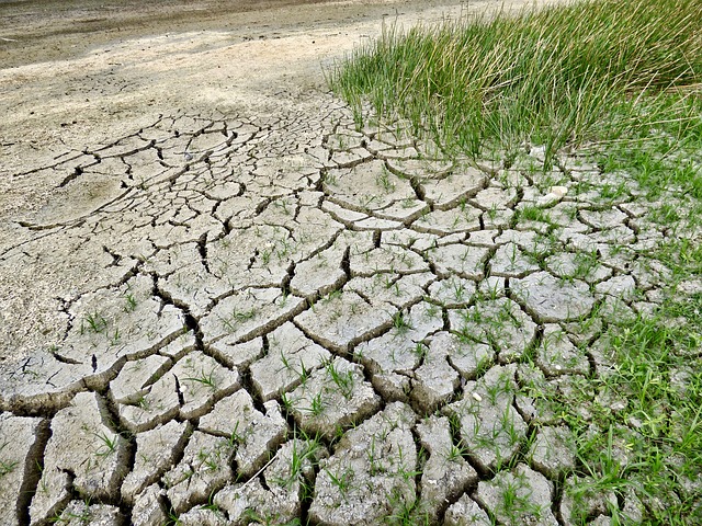 Europski sud za ljudska prava: Države su dužne boriti se protiv klimatskih promjena kako bi zaštitile ljudska prava